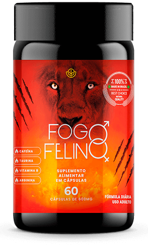 pote fogo felino